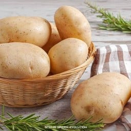 ข้าวกะเพราไก่&มันฝรั่งสดทอดเขย่า ทรงเครื่อง🥔