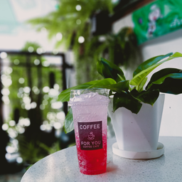 แดงโซดา