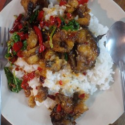 กระเพราโจรปลาดุก ราดข้าว