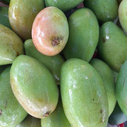 มะม่วงเปรี้ยว