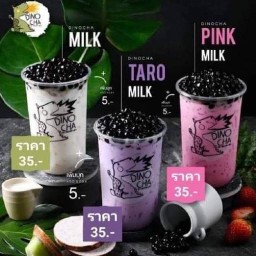 ไดโนชา หลังพระปิ่น3