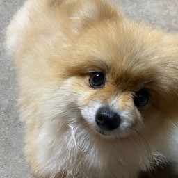 ลูบพุงน้องจิงๆ