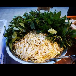 ผักสด (ถั่วงอก โหราพา)