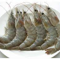 MENU_1977282Oo_1667459693