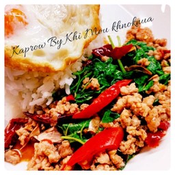 กะเพรา หมูสับ