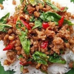 ข้าวราดผัดกระเพราหมูสับ