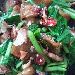ผัดคะน้าราดข้าว