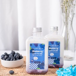 BlueBerry Lactose Free Milk
