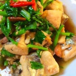 ข้าวราดปลาผัดคลื่นไซ้.