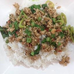 ผัดกะเพราหมูสับ ราดข้าว