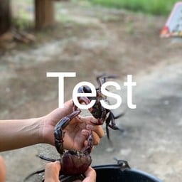 ข้าวกับแกง-บ้านแม่ปุ๊ก