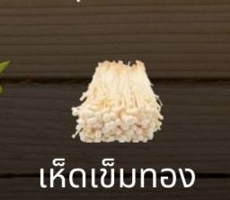 เห็ดเข็มทอง