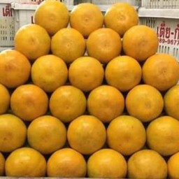 ส้มสายน้ำผึ้งเบอร์6 สวยหวานๆ 1ก.ก