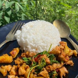 เลียบด่วนโคตรกระเพราไก่บ้าน