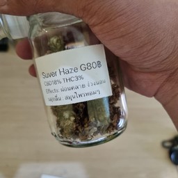 บ้านเพื่อนกัน ซาฟารีเวิลด์