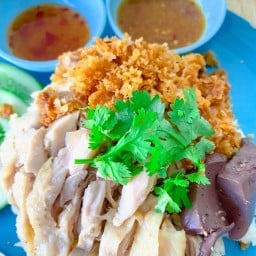 โก๋โก๋ ข้าวมันไก่ ( วิภาวดี 33 )