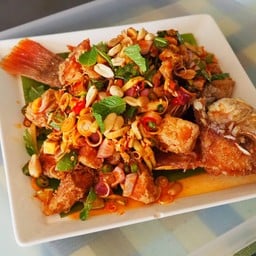 ปลาทับทิมลุยสวน