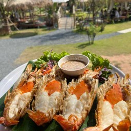 บัวริมมอร์