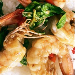 ข้าวกะเพรากุ้ง