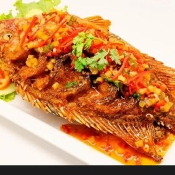 Farada Halal Food เจซีโอ้ พลาซ่า