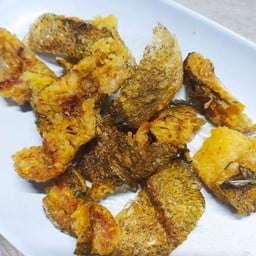 สลิตทอด