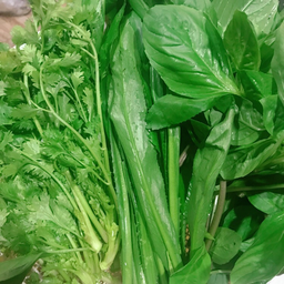 ผักเคียงสด