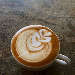 Cupuccino