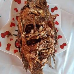 ครัวตาด้าอาหารตามสั่ง