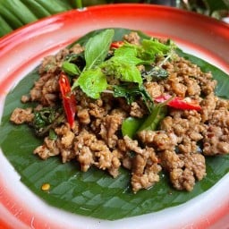 กะเพราซิ่ง