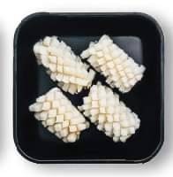 ปลาหมึกบั้ง