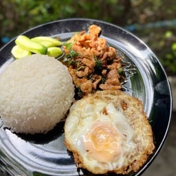 ข้าวกระเพาหมูชิ้น