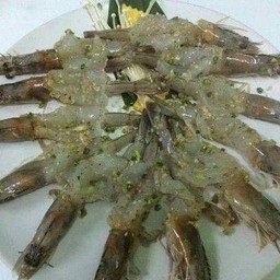 กุ้งสด