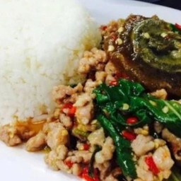 ผัดกระเพราไข่เยี่ยวม้าราดข้าว
