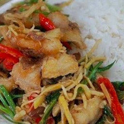 ปลาผัดขิงราดข้าว