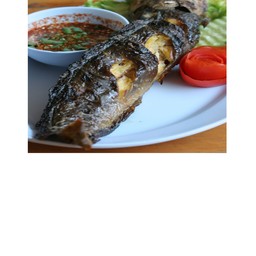 ปลาดุกย่าง