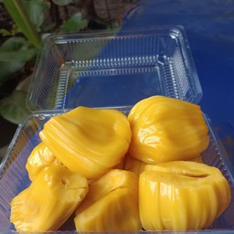 ขนุนพันธุ์พื้นบ้าน300 กรัม