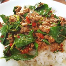 กะเพาเนื้อราดข้าว