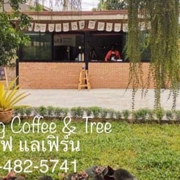 Kasalong Coffee & Tree