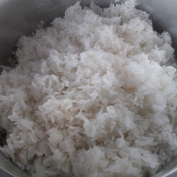 ข้าวเปล่า