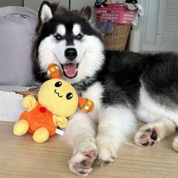 ลูบหัว