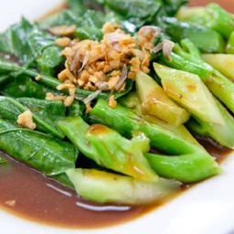 ผัดคะน้าน้ำมันหอย