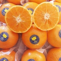 ส้มแมนดาริน ฮันนี่เมอคอท  ออสเตรเลีย 1gk