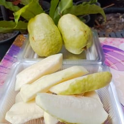ฝรั่งไร้เมล็ด