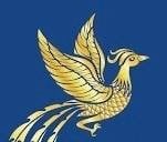 ลูกชิ้น มิดไนท์