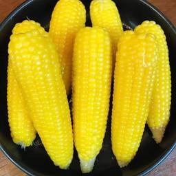 เจ้แหม่มข้าวโพดต้มเสือขบ