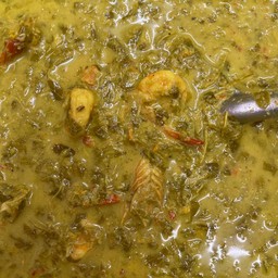 ยอดมะขามกุ้ง