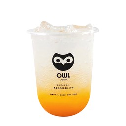 OWL CHA สาขา วิทยาลัยนาฏศิลป นครปฐม