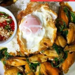 ข้าวกระเพราหอยแมลงภู่(ฟรีไข่ดาว)