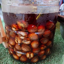 ดองเพ เลดอง