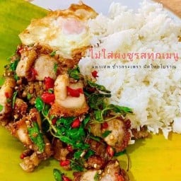 มหาเทพ ข้าวกระเพรา ผัดไทย โบราณ-ถนนบูรพาใน